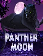 สูตรเด็ดเล่นสล็อต เว็บพนัน เงินจริง แตกง่าย